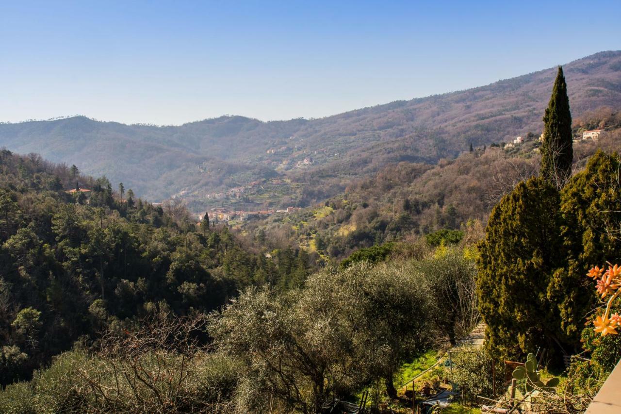 Agriturismo A Cà Vegia Calice Ligure Exterior foto